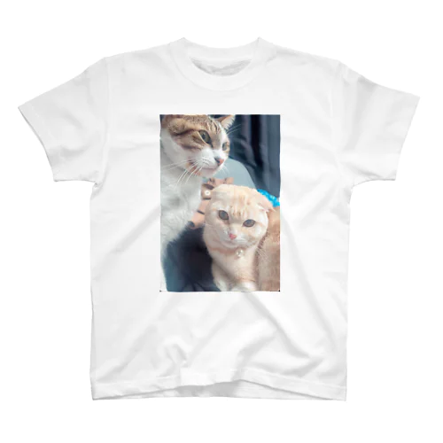 にゃんず Regular Fit T-Shirt