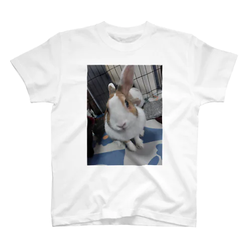 モカみたらし亭 Regular Fit T-Shirt