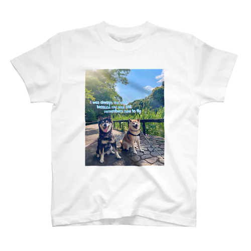 空豆と風 Regular Fit T-Shirt