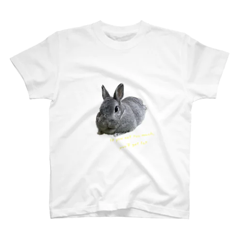ルルちゃん　Tシャツ Regular Fit T-Shirt