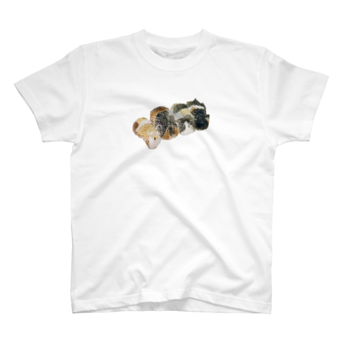 キュイ Regular Fit T-Shirt
