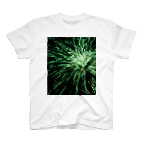 splash! Regular Fit T-Shirt