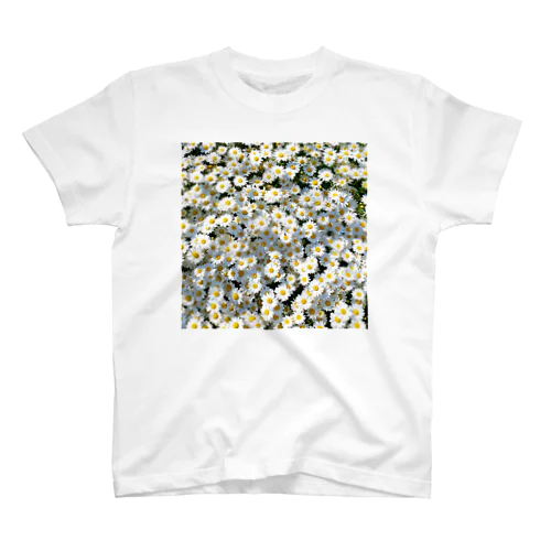 Aggregate Flower スタンダードTシャツ