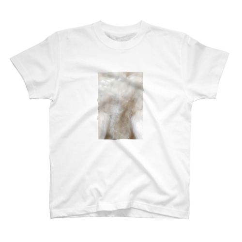 しばいぬの胸板 Regular Fit T-Shirt