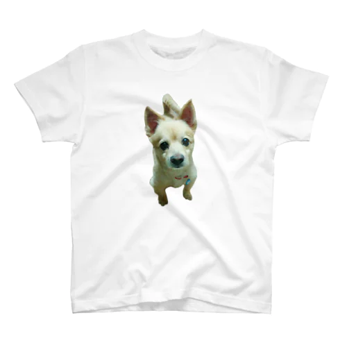 うちの犬さん スタンダードTシャツ