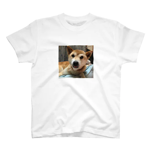 モコ Regular Fit T-Shirt