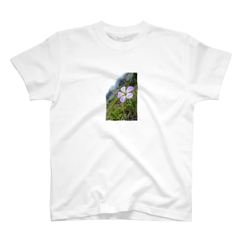 高山植物 スタンダードTシャツ