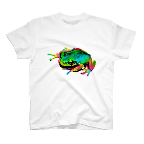 Akrofrog Regular Fit T-Shirt