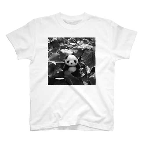 Panda & Leaves Sq Mono Regular Fit T-Shirt
