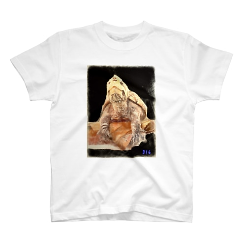 ミシニのひとやすみ Regular Fit T-Shirt