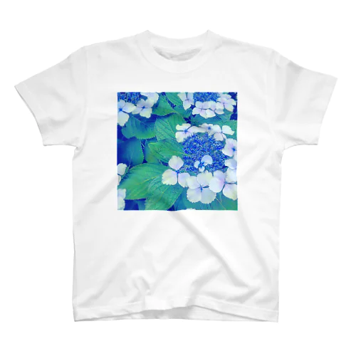 紫陽花 スタンダードTシャツ