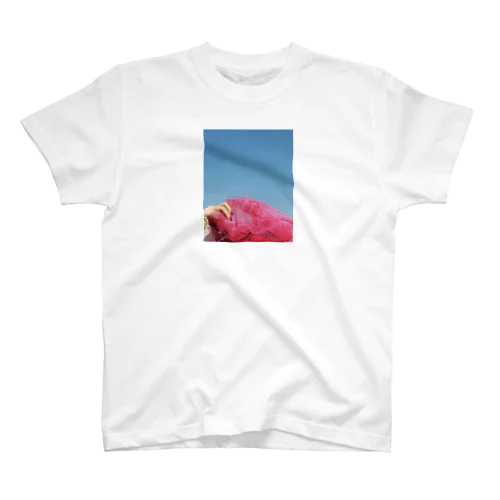 ピンク Regular Fit T-Shirt