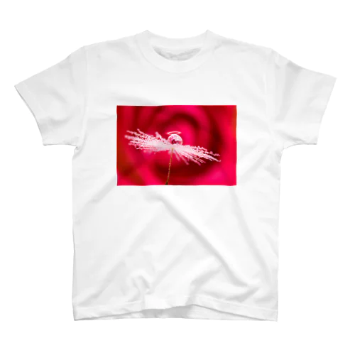 Angel of Red Rose (180211) スタンダードTシャツ