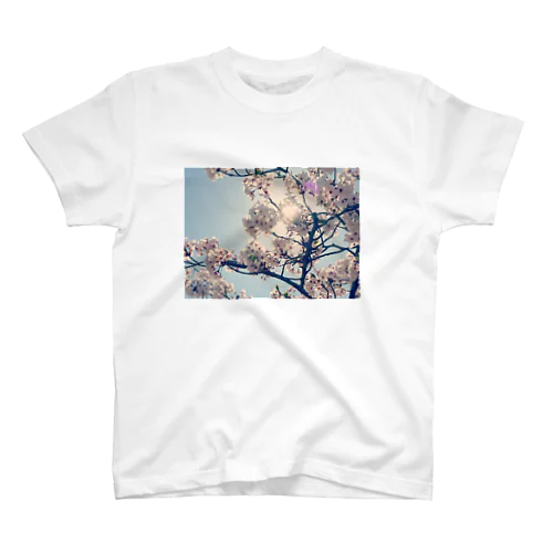 桜🌸 スタンダードTシャツ