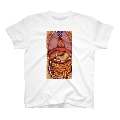 model of the human body  スタンダードTシャツ