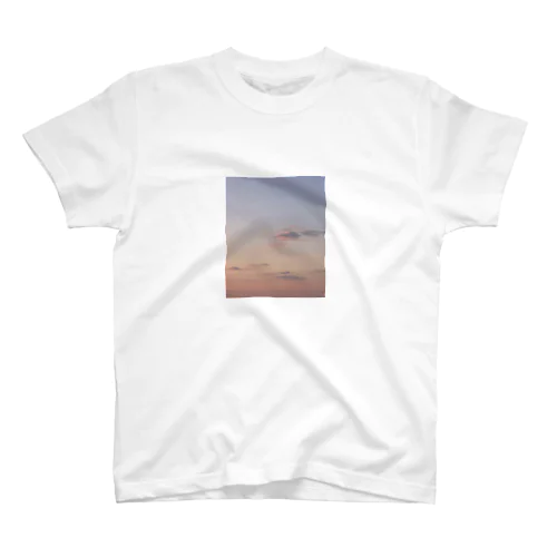 sky Regular Fit T-Shirt