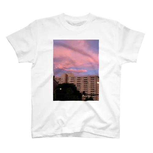 建築物 Regular Fit T-Shirt