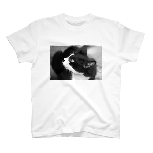 野良猫 Regular Fit T-Shirt