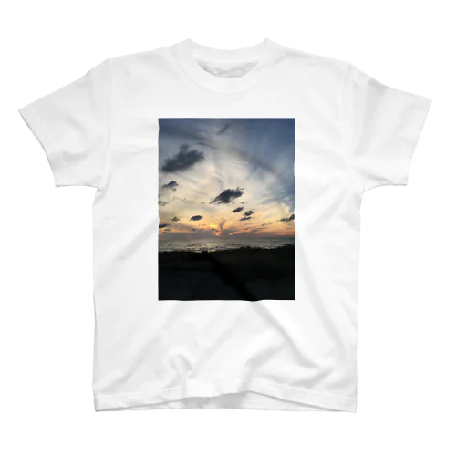 view Regular Fit T-Shirt