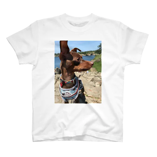 dog Regular Fit T-Shirt