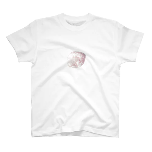 星雲みたいな石 Regular Fit T-Shirt