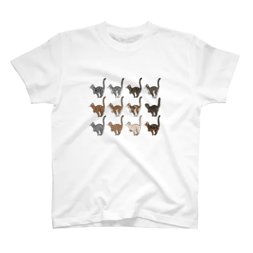 Tabbies Cat（集合） スタンダードTシャツ