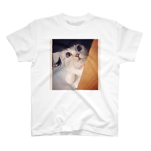 仔鹿kitty Regular Fit T-Shirt