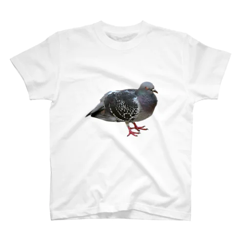 鳩 Regular Fit T-Shirt