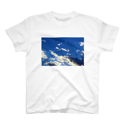 空 スタンダードTシャツ