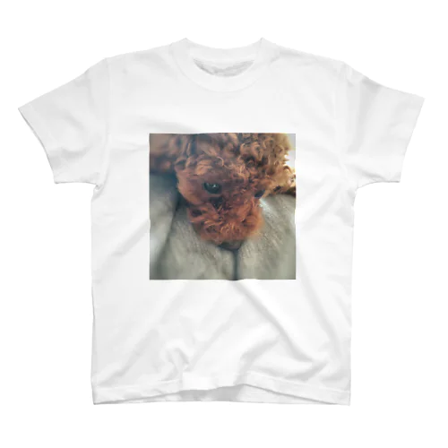 光の中の子犬 Regular Fit T-Shirt