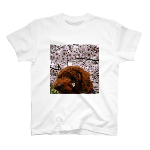 子犬のほっぺに桜 Regular Fit T-Shirt