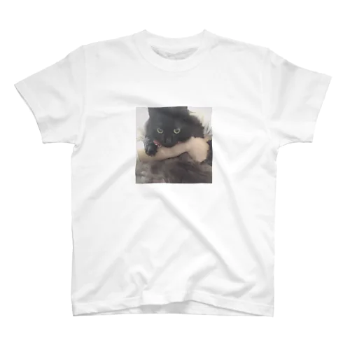 手懐け黒猫Tシャツ Regular Fit T-Shirt