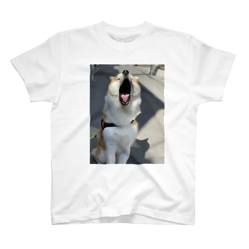 秋田犬ももくん  あくびver スタンダードTシャツ