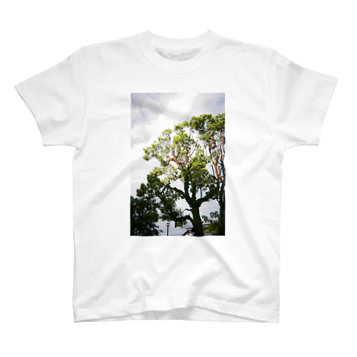 tree スタンダードTシャツ