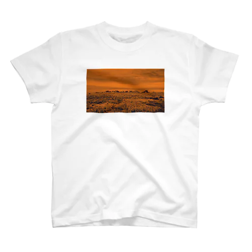 Rock orange スタンダードTシャツ