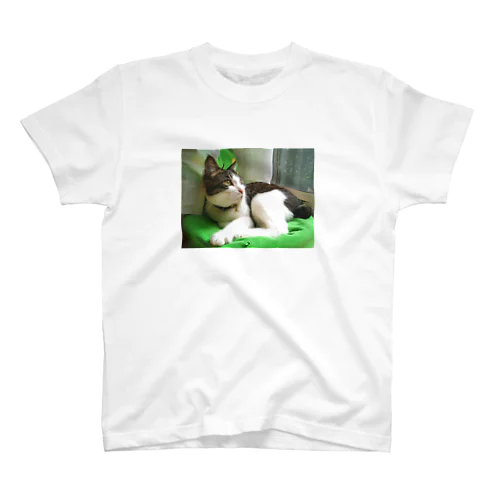 ハチワレ猫 ムン Regular Fit T-Shirt