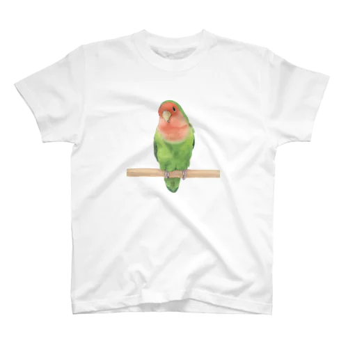 コザクラインコ スタンダードTシャツ