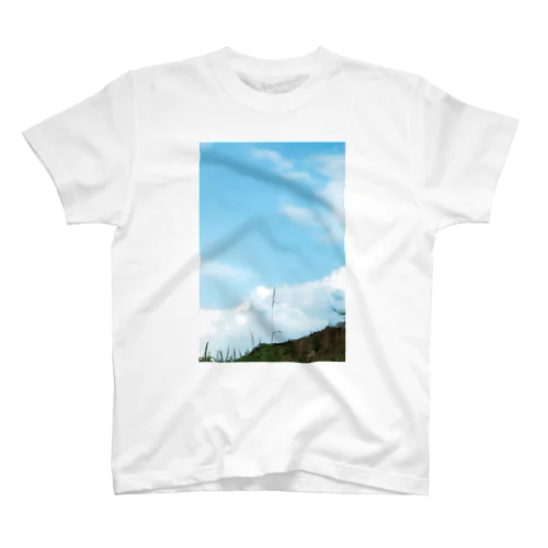 sky Regular Fit T-Shirt