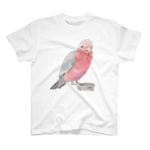 モモイロインコ スタンダードTシャツ