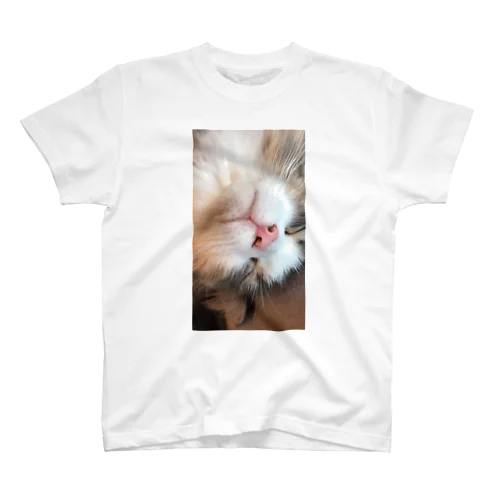 顔面猫 スタンダードTシャツ