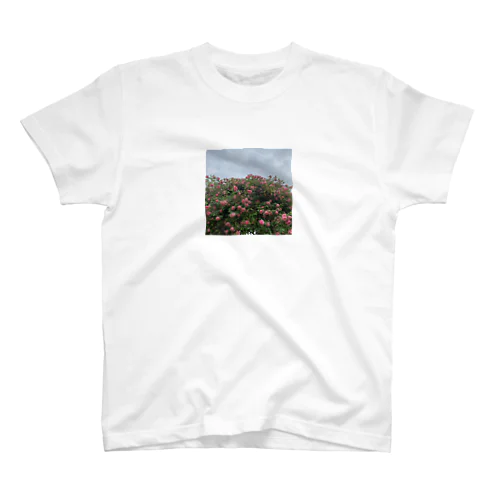  rose Regular Fit T-Shirt