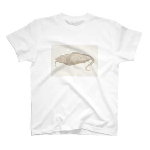 魚B(カラー) スタンダードTシャツ