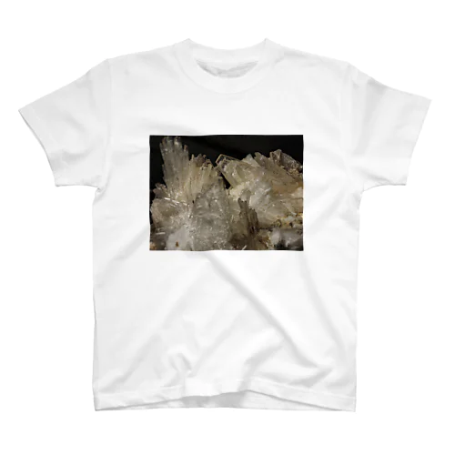湯河原沸石 Regular Fit T-Shirt