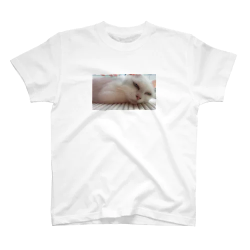 眠い猫 スタンダードTシャツ