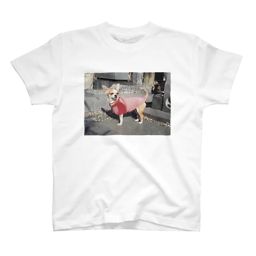 痩せてる犬 スタンダードTシャツ