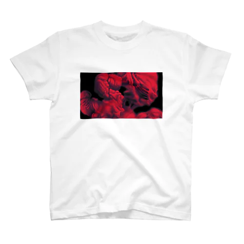 Blur Collage 1 Red Regular Fit T-Shirt