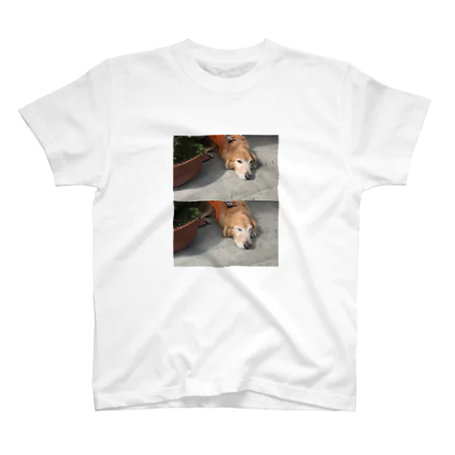 犬 スタンダードTシャツ