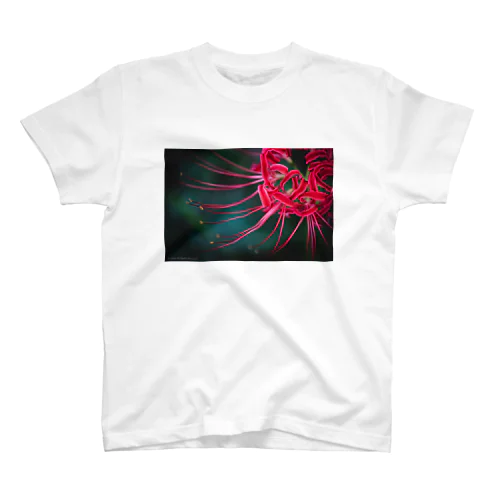 Flower  スタンダードTシャツ