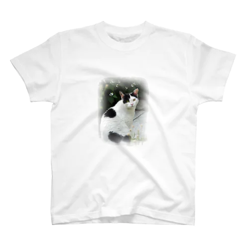 見返り猫 Regular Fit T-Shirt