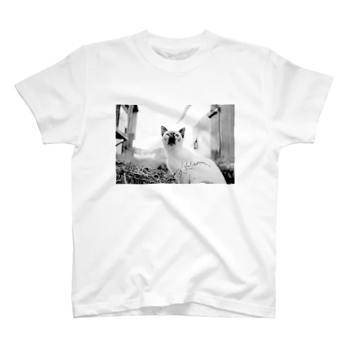 猫ちゃん Regular Fit T-Shirt